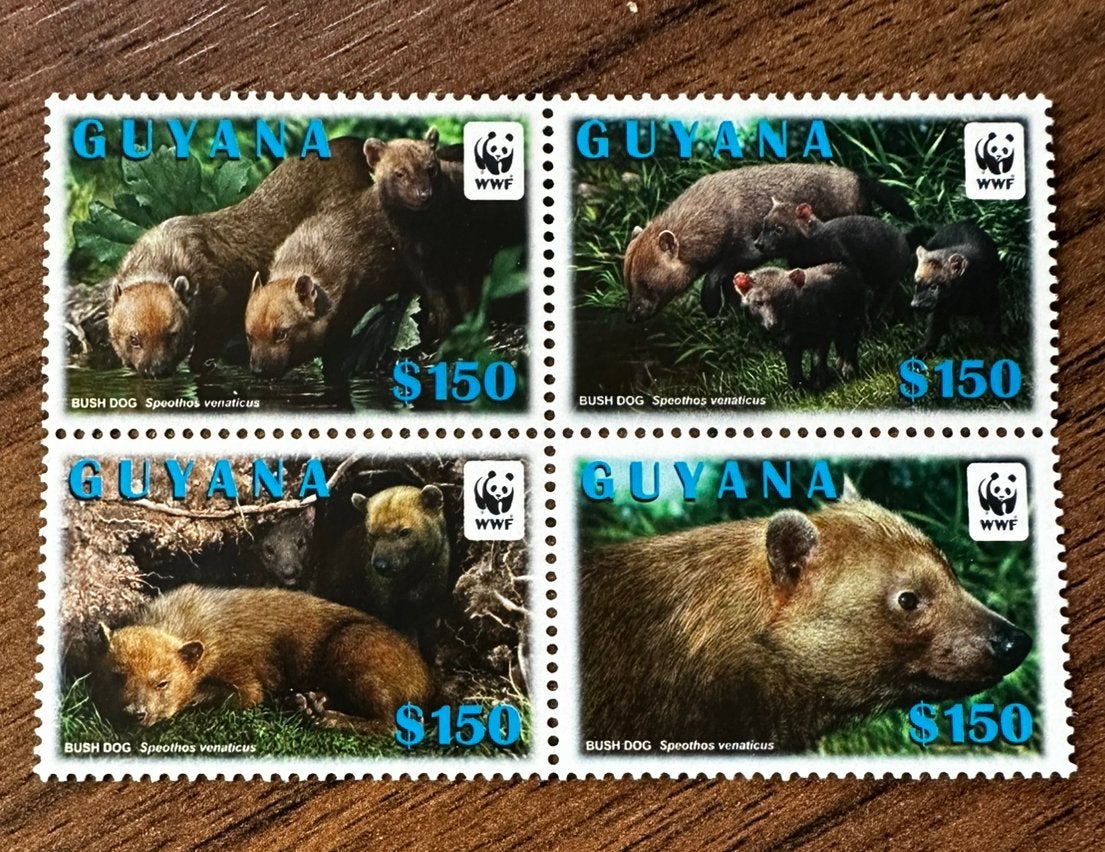 Guyana 2011 Boshond dieren postfris WWF, Ophalen of Verzenden, Postfris