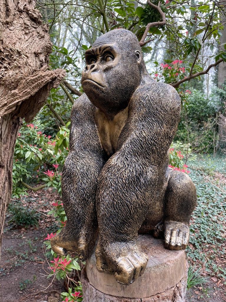 Beeld aap, gorilla, tuin, zwembad, vijver 70cm, Ophalen, Nieuw, Kunststof, Dierenbeeld