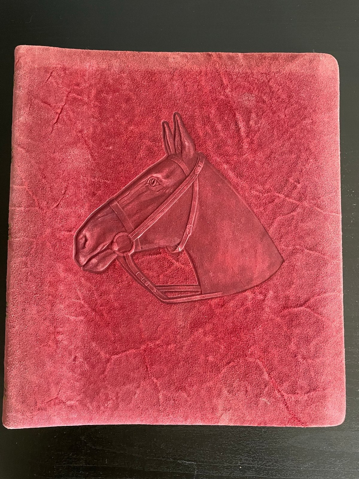 Leeg fotoalbum in leer met paardenhoofd reliëf, Audio, Tv en Foto, Ophalen, Stevige kaft, Rood, Plakboek