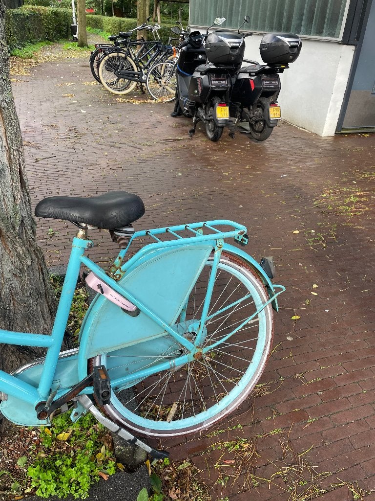 Popal fiets, Ophalen, Gebruikt, 26 inch of meer, Popal