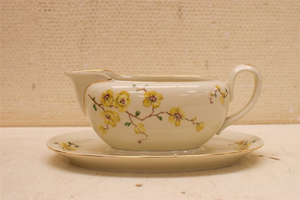 Johann Haviland Bavaria porseleinen jus/Saus schaaltje met v