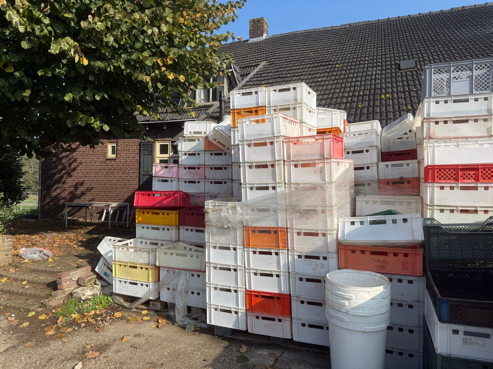 Euronorm kratten vlees kratten opberg krat, Ophalen, Gebruikt, 40 tot 60 cm, 50 tot 75 cm