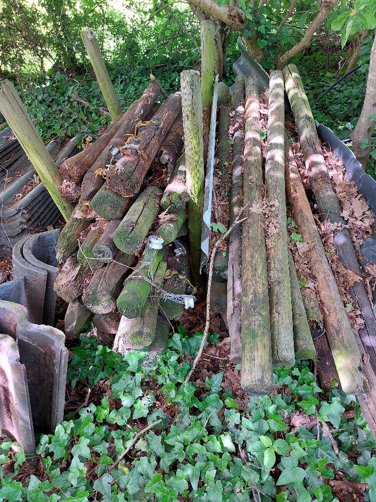 weidepalen, Ophalen, Gebruikt, 180 tot 250 cm, Palen