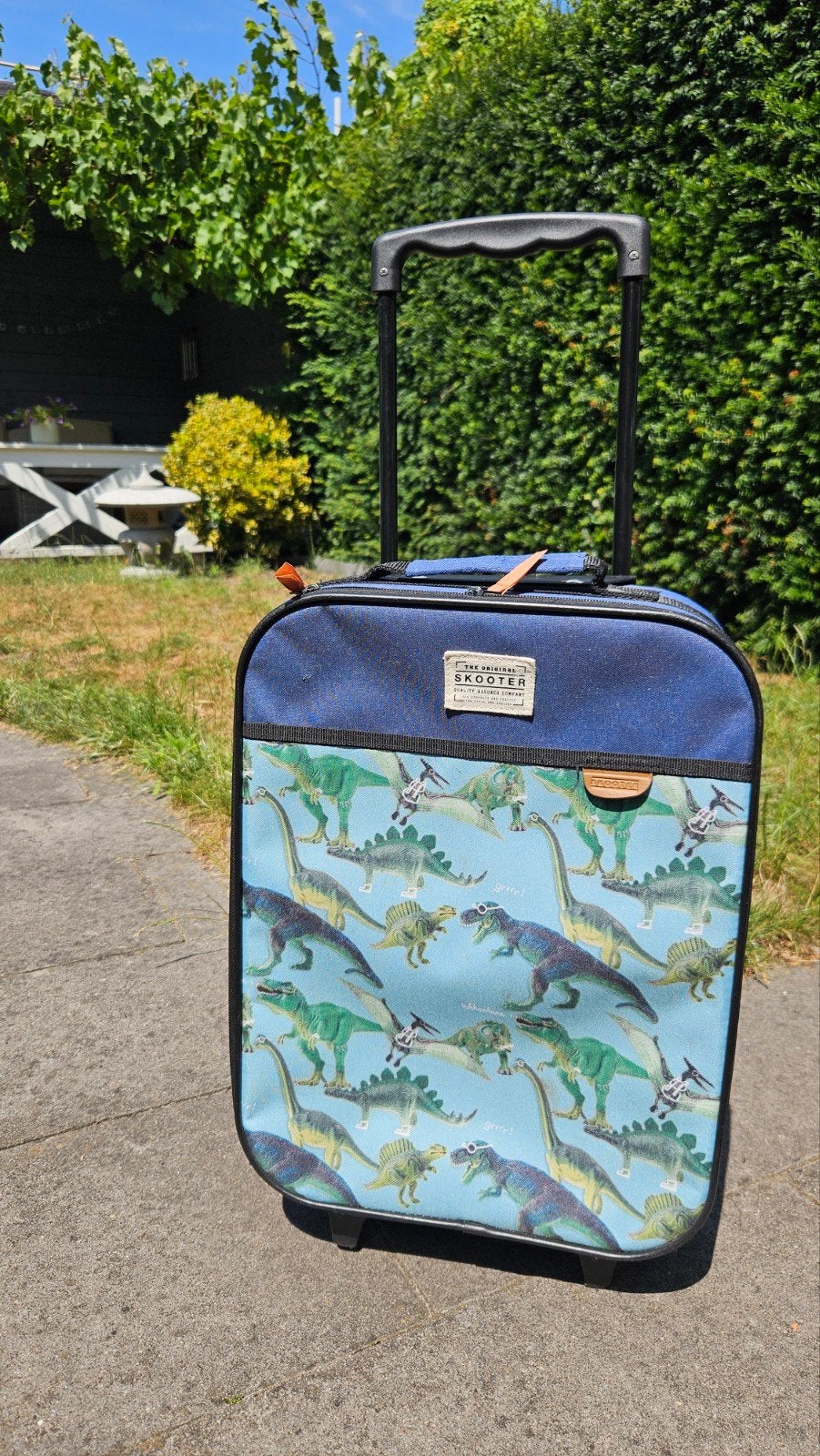 SKOOTER kinderkoffer met dinosaurusprint, Ophalen, Gebruikt, Minder dan 40 cm, Minder dan 35 cm