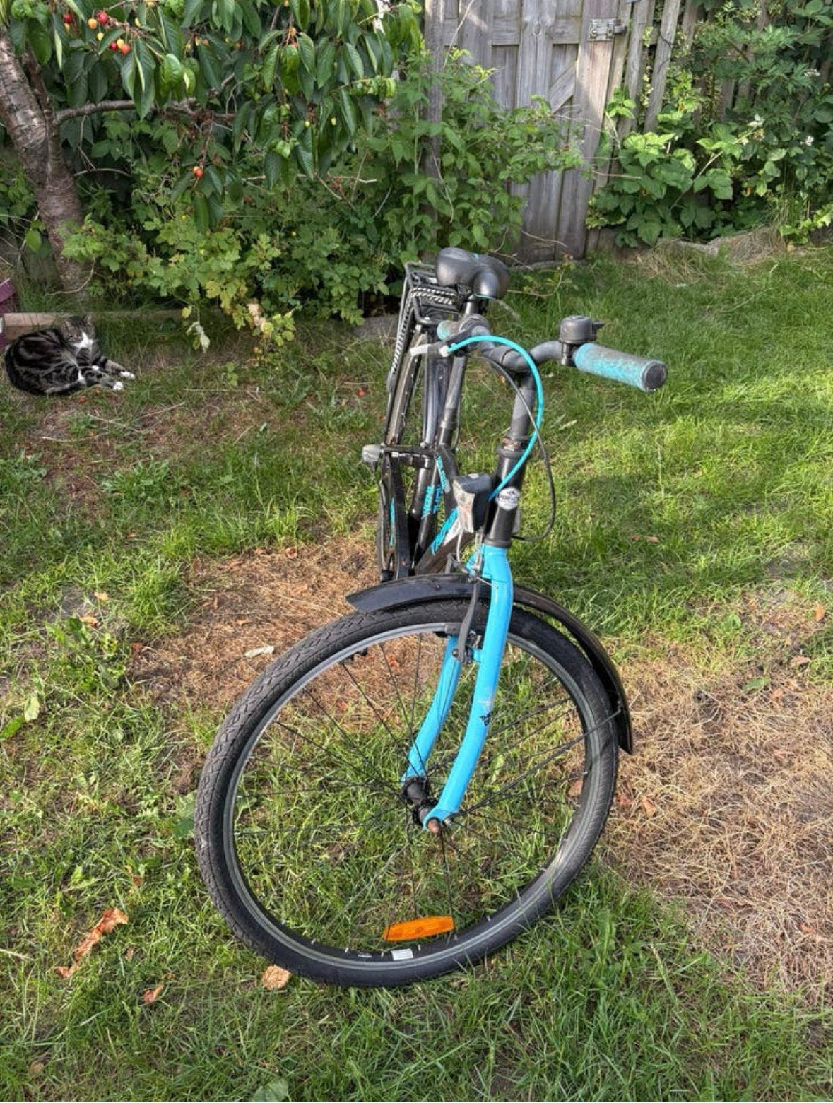 Jonges fiets, Ophalen