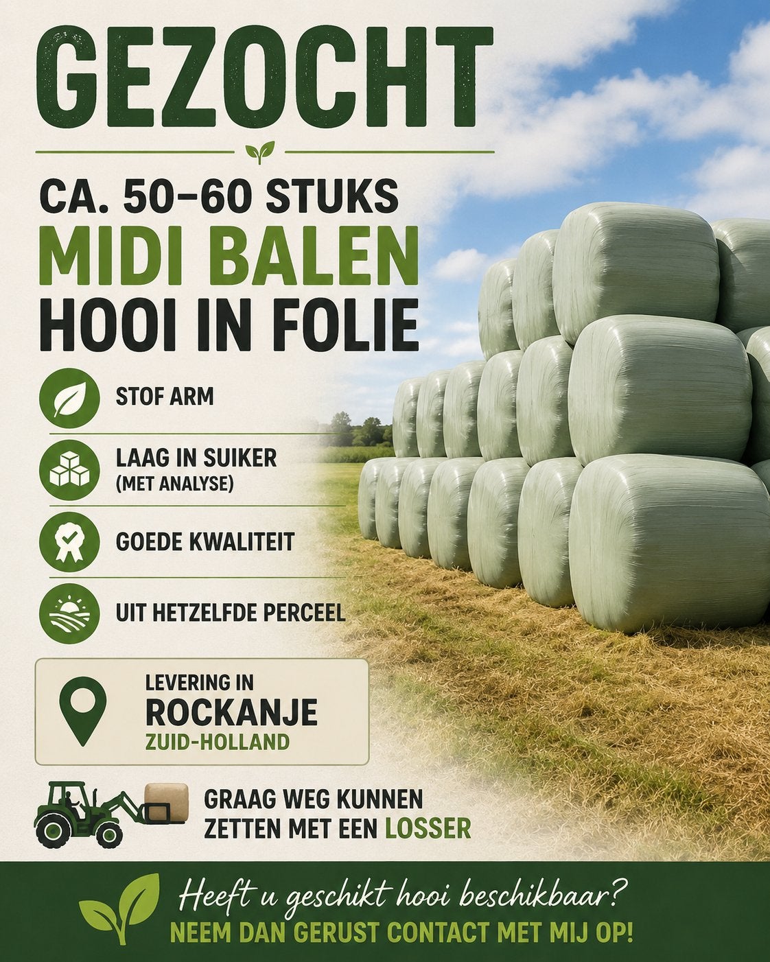 Gezocht: Midi balen hooi in folie (ca. 50-60 stuks)