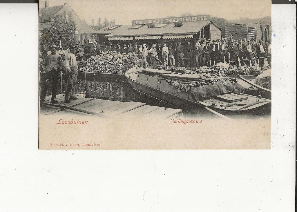 Loosduinen Veilinggebouw met volle schuiten H van Noort, Ophalen of Verzenden, Voor 1920, Ongelopen, Zuid-Holland
