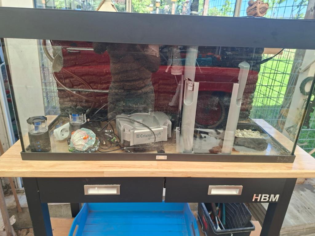 Aquarium, Dieren en Toebehoren, Knaagdieren en Konijnen | Hokken en Kooien, Minder dan 60 cm, Kooi, Minder dan 75 cm, Ophalen of Verzenden