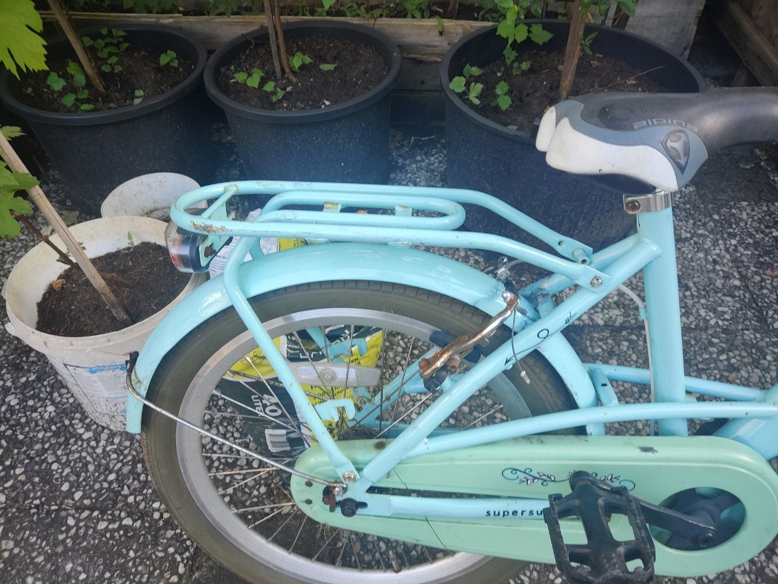 20 inch meisjes fiets, Ophalen, Gebruikt, 20 inch