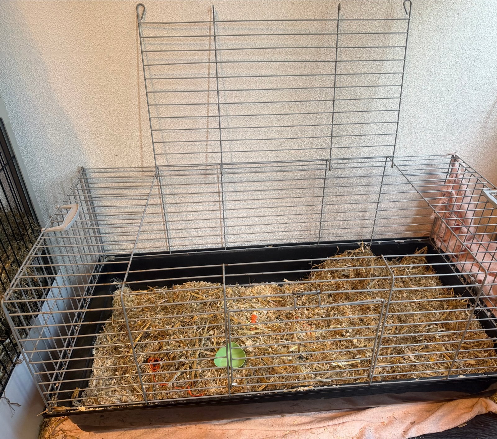 Konijnenhok, Dieren en Toebehoren, Ophalen, Hamster, Kooi, Gebruikt