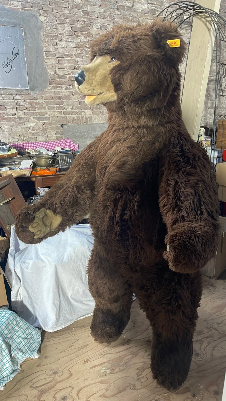 Mensgrote Teddy Steiff, hoog ca. 170cm. Details in foto’s, Ophalen of Verzenden, Gebruikt, Stoffen beer, Steiff
