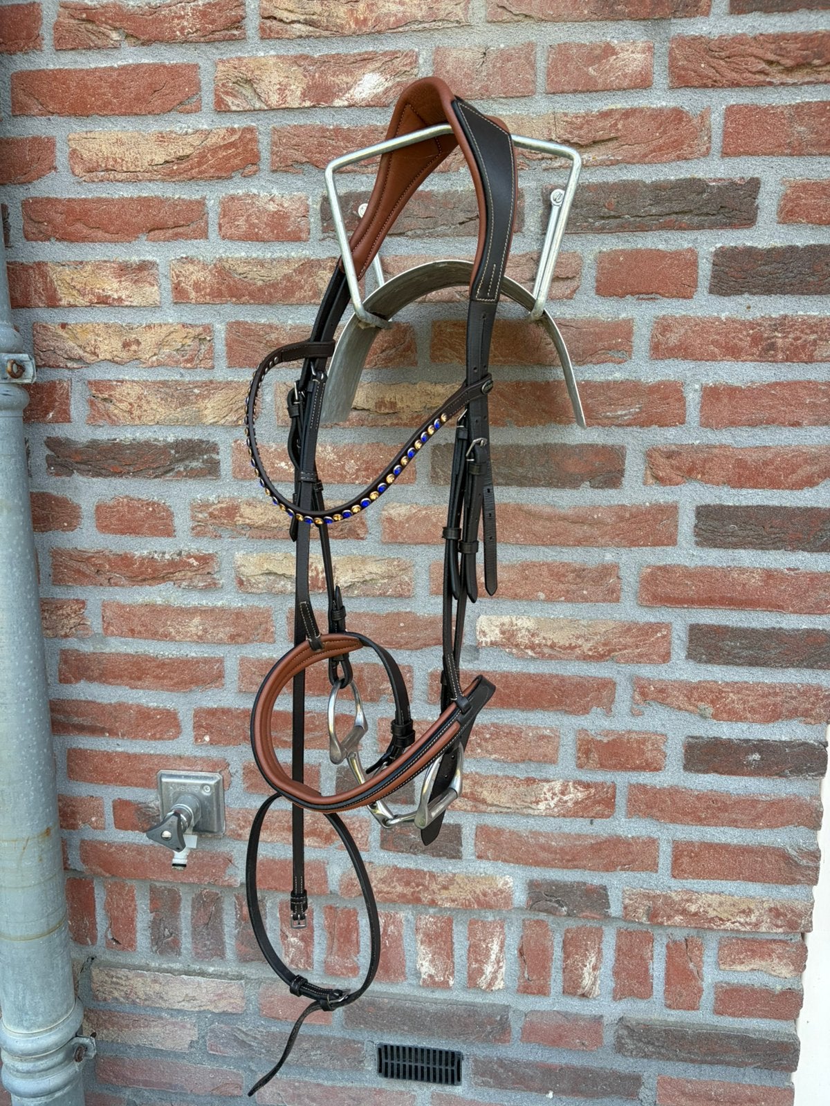 Compleet hoofdstel met extra frontriem, Dieren en Toebehoren, Hoofdstel, Bruin, Ophalen of Verzenden, QHP