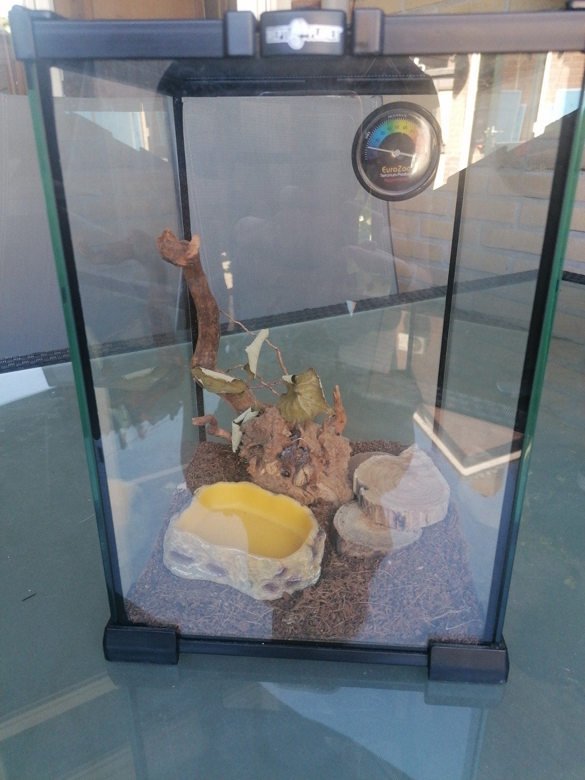 mini terarium, Ophalen, Zo goed als nieuw