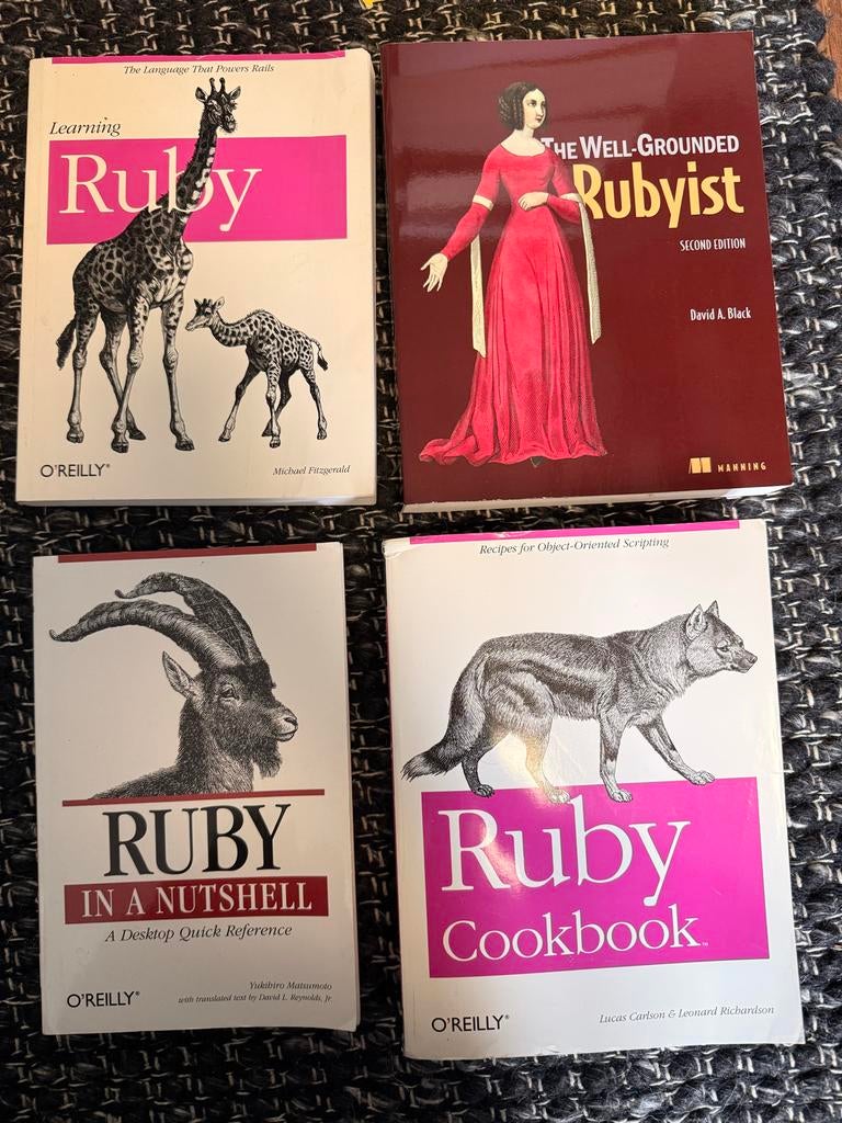 Ruby Programmeerboeken - Set van 4 (O'Reilly, Manning), Boeken, Informatica en Computer, Gelezen, Programmeertaal of Theorie, Ophalen of Verzenden