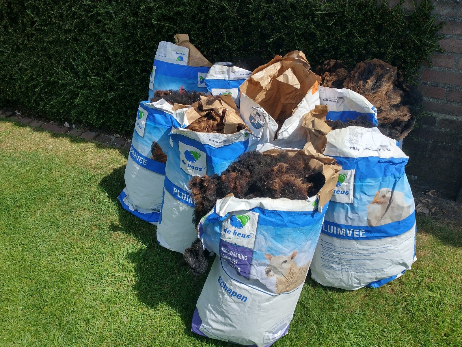 Schapenvacht te koop, Ophalen