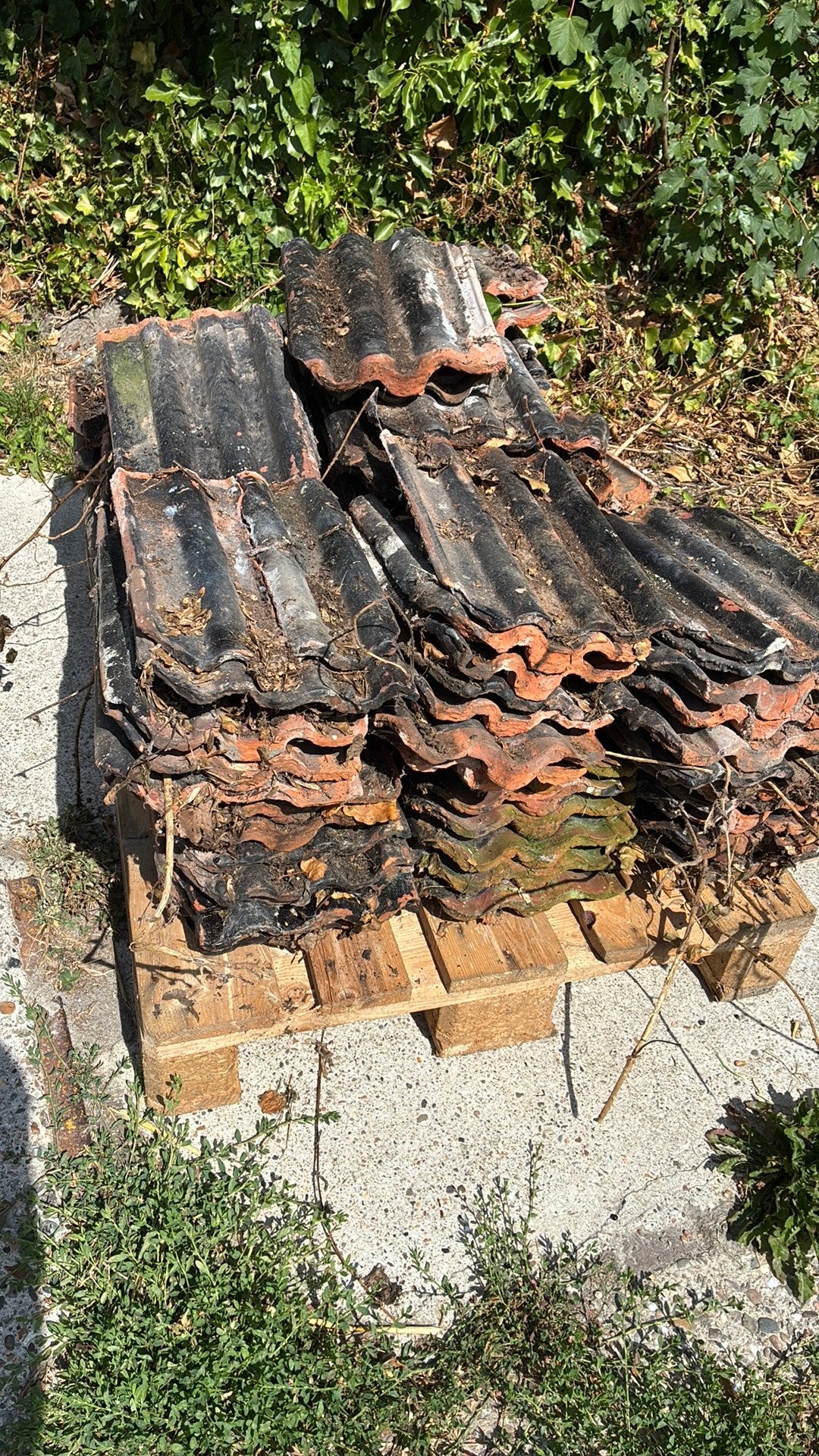 Pallet met dakpannen   het is een oude soort, Ophalen, Steen of Klei, Zwart, Dakpannen