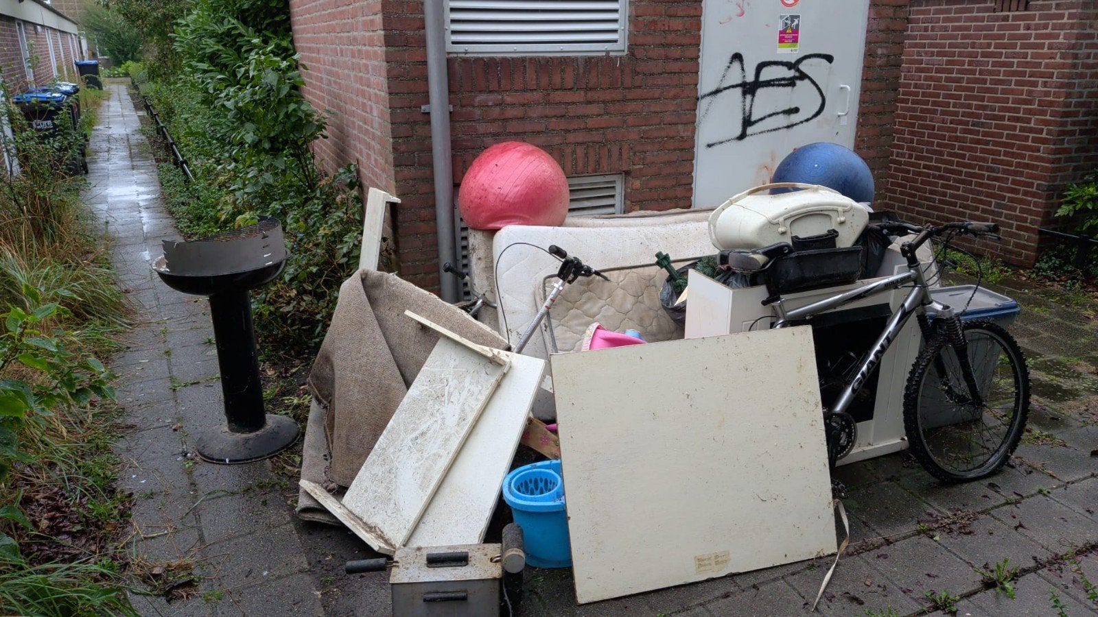 WIJ DOEN STORT RIJDEN, Ophalen of Verzenden