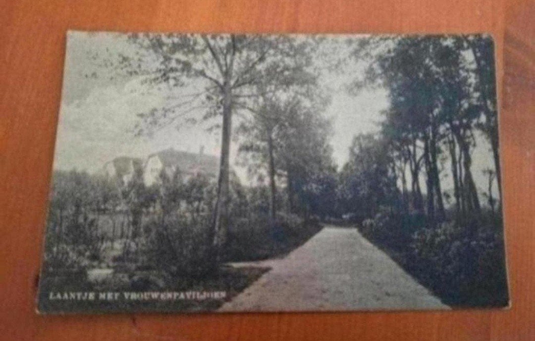 Oude Ansichtkaart Bergen op Zoom - Vrouwenpaviljoen, Ophalen of Verzenden