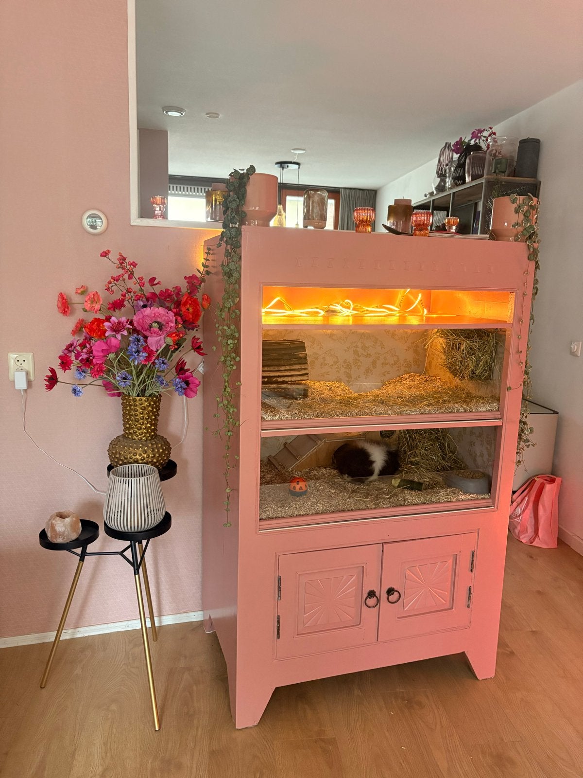 Cavia flat/hok, Overige typen, Ophalen of Verzenden, 90 cm of meer, 75 tot 110 cm