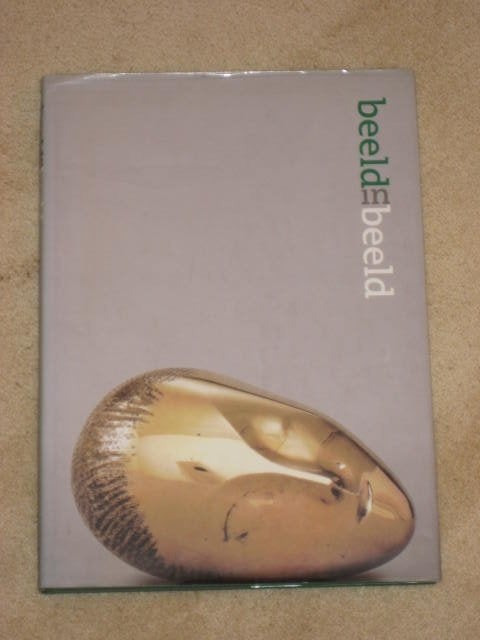 boek Beeld in Beeld Vincent Vlasblom, Ophalen of Verzenden, Zo goed als nieuw
