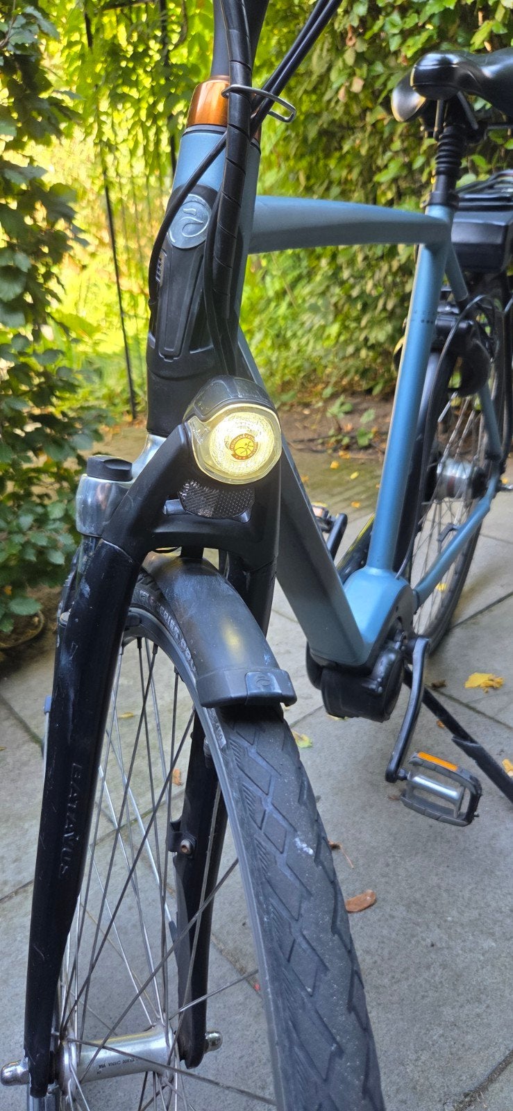 Foto 10 van Batavus Stream ebike met zeer krachtige motor