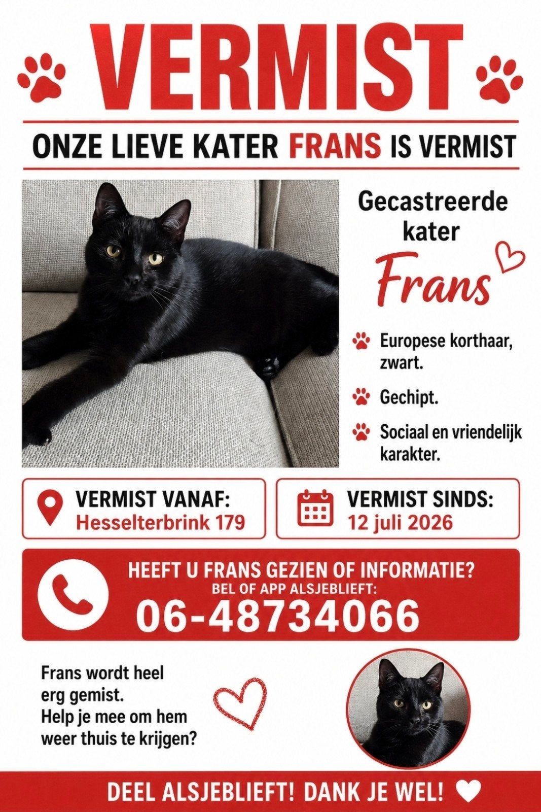 VERMIST!, Kat
