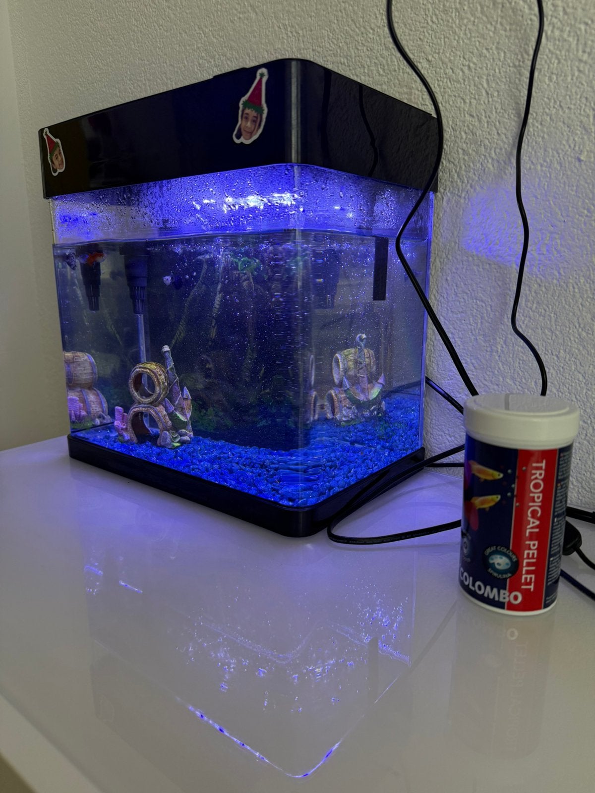 Complete Aquarium Set te Koop, Ophalen of Verzenden, Zo goed als nieuw