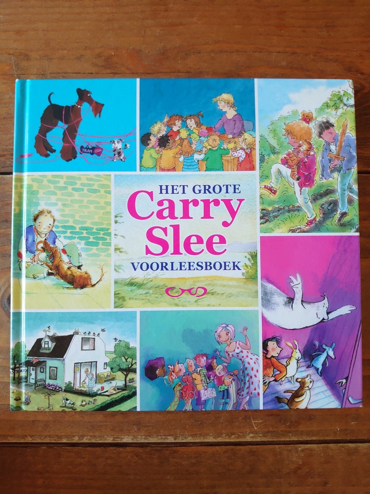 Het Grote Carry Slee Voorleesboek - 24x22 cm, Ophalen of Verzenden, Zo goed als nieuw, Carry Slee, Fictie algemeen