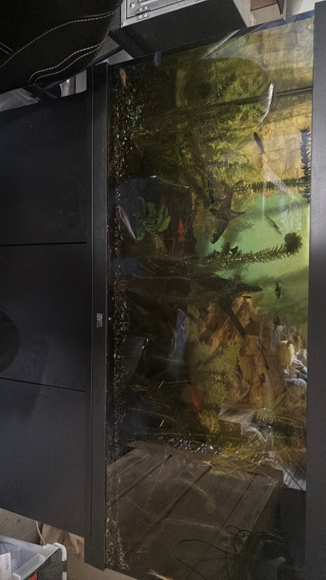 Aquarium MOET ZO SNEL MOGELIJK WEG, Dieren en Toebehoren, Vissen | Aquaria en Toebehoren, Zo goed als nieuw, Gevuld zoetwateraquarium