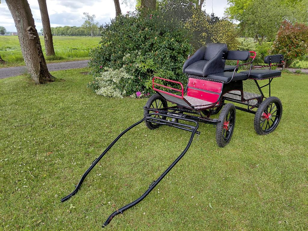 Recreatiewagen, Dieren en Toebehoren, Rijtuigen en Koetsen, Gebruikt, Overige typen, Pony