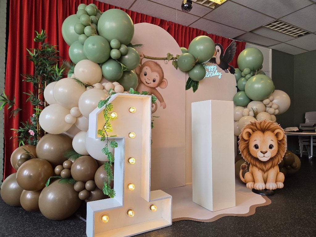 Feestdecoratie & verjaardag styling | Ballonnen & backdrops, Ophalen, Zo goed als nieuw, Verjaardag