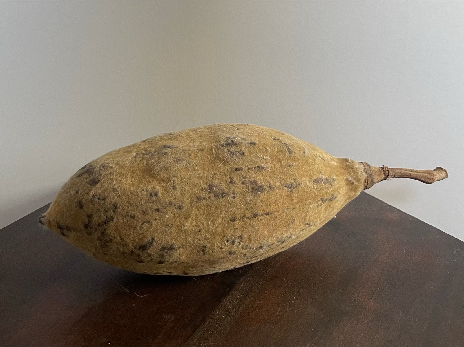 Decoratieve Baobab Vrucht - Natuurlijke Woondecoratie, Ophalen of Verzenden