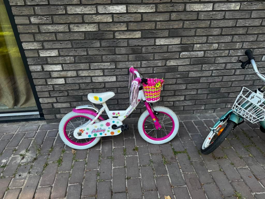 Kinderfiets ashley 12 inch, Ophalen of Verzenden, Zo goed als nieuw, Minder dan 16 inch, Zijwieltjes