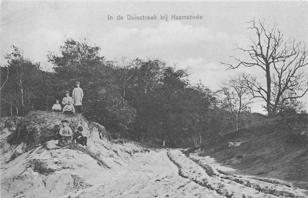 701-115-019 Haamstede in de Duinstreek, Verzenden, Voor 1920, Zeeland