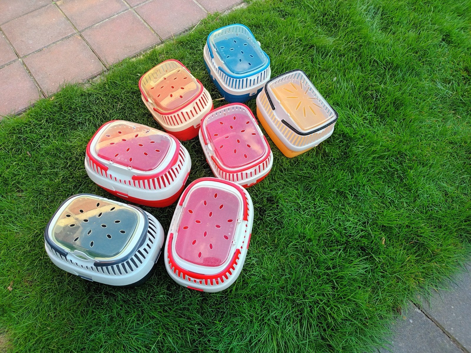 kleine vervoersboxen, Dieren en Toebehoren, Knaagdieren en Konijnen | Hokken en Kooien, Minder dan 75 cm, Zo goed als nieuw, Reiskooi of Transportbox
