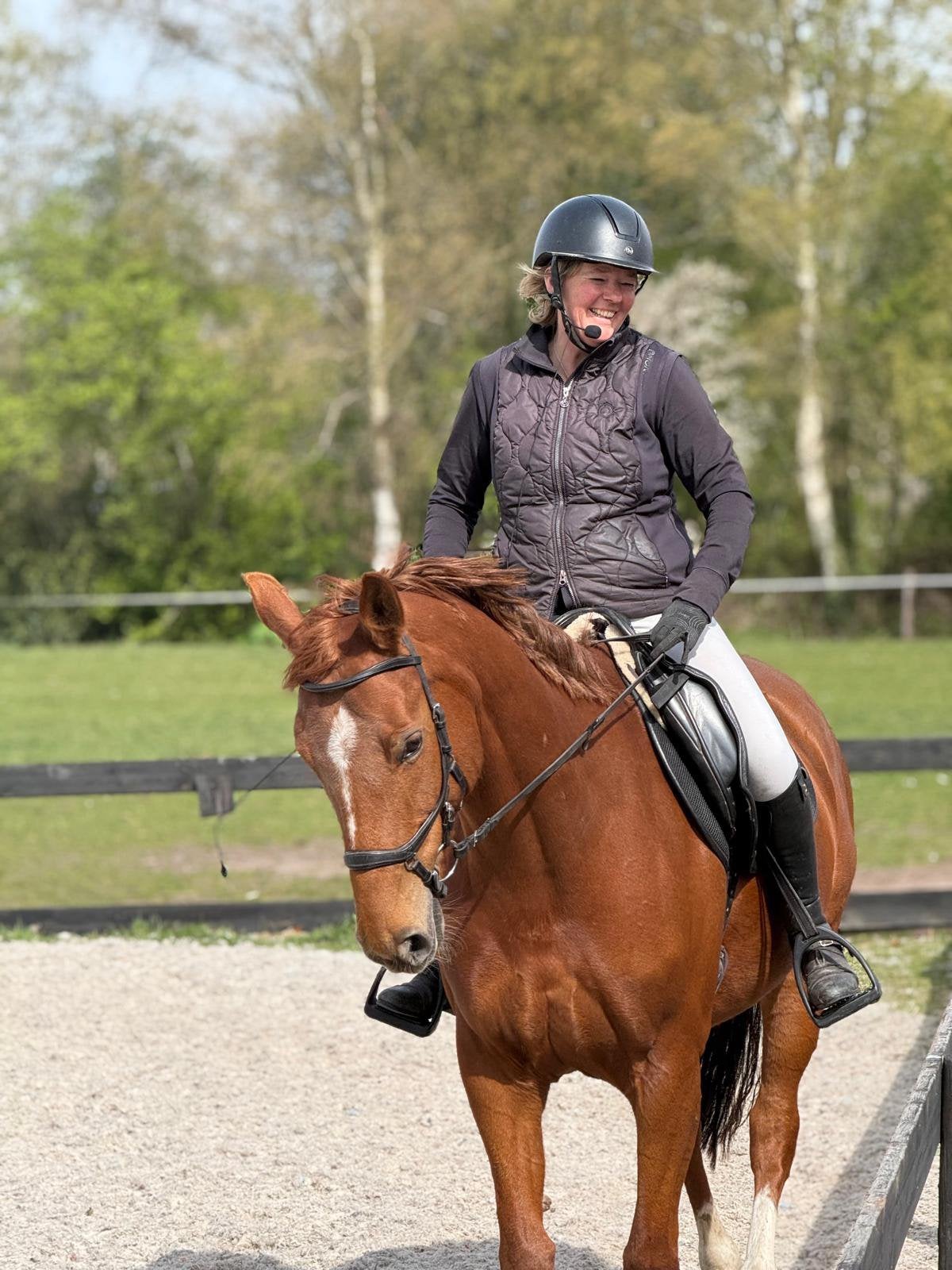 10 jarig paard, Merrie, M, Dressuurpaard, 7 tot 10 jaar