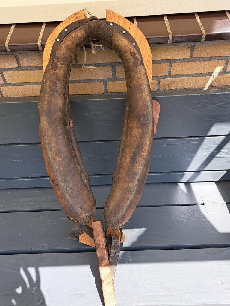 Paardenhoofdstel, Ophalen of Verzenden