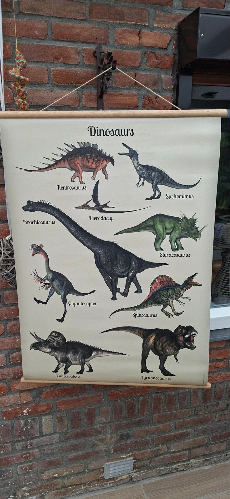 Dinosaurus Schoolplaat - Educatief & Decoratie, Ophalen of Verzenden, Natuur en Biologie