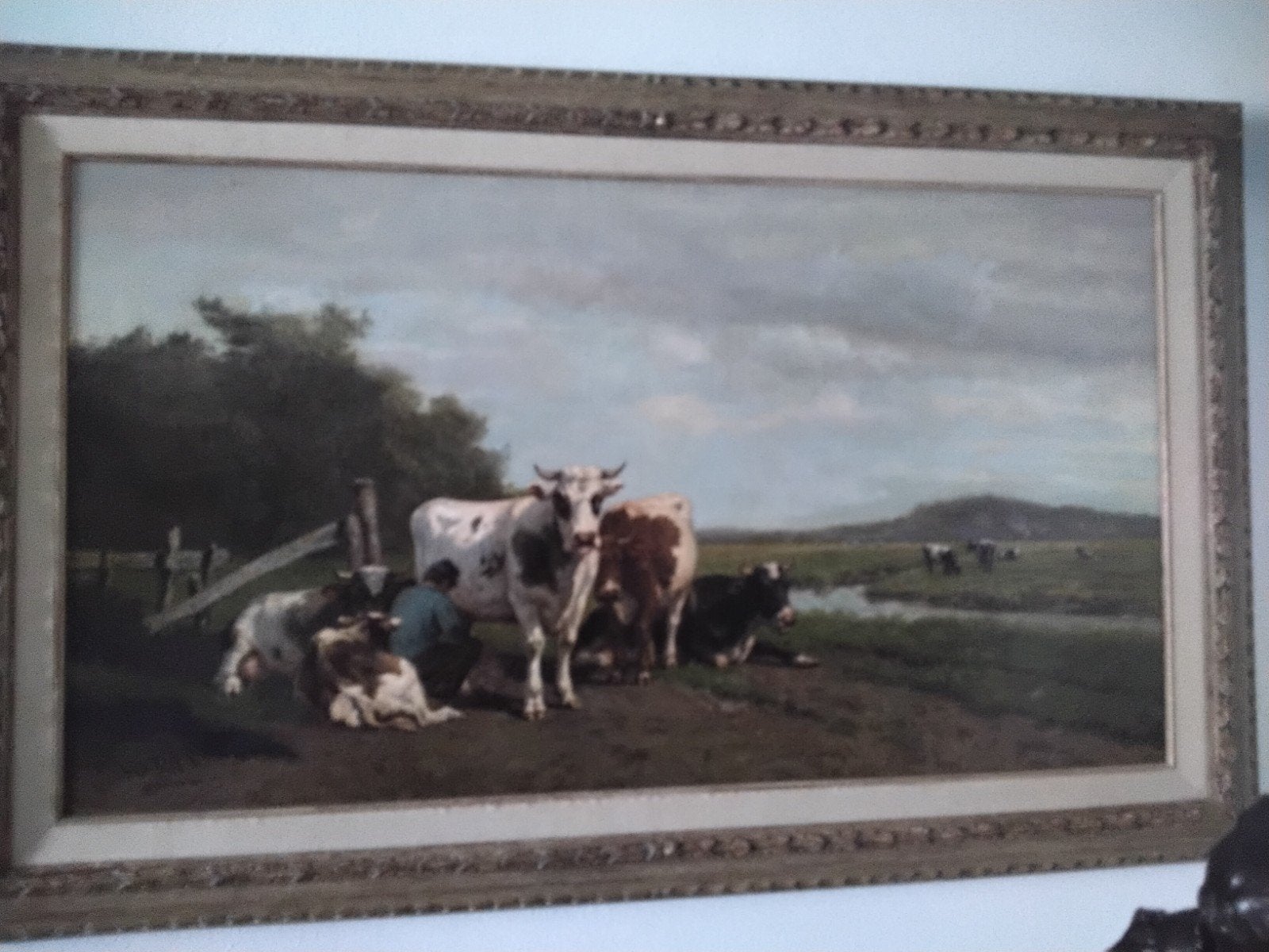 KOEIEN SCHILDERIJ SAVRIJ, Ophalen