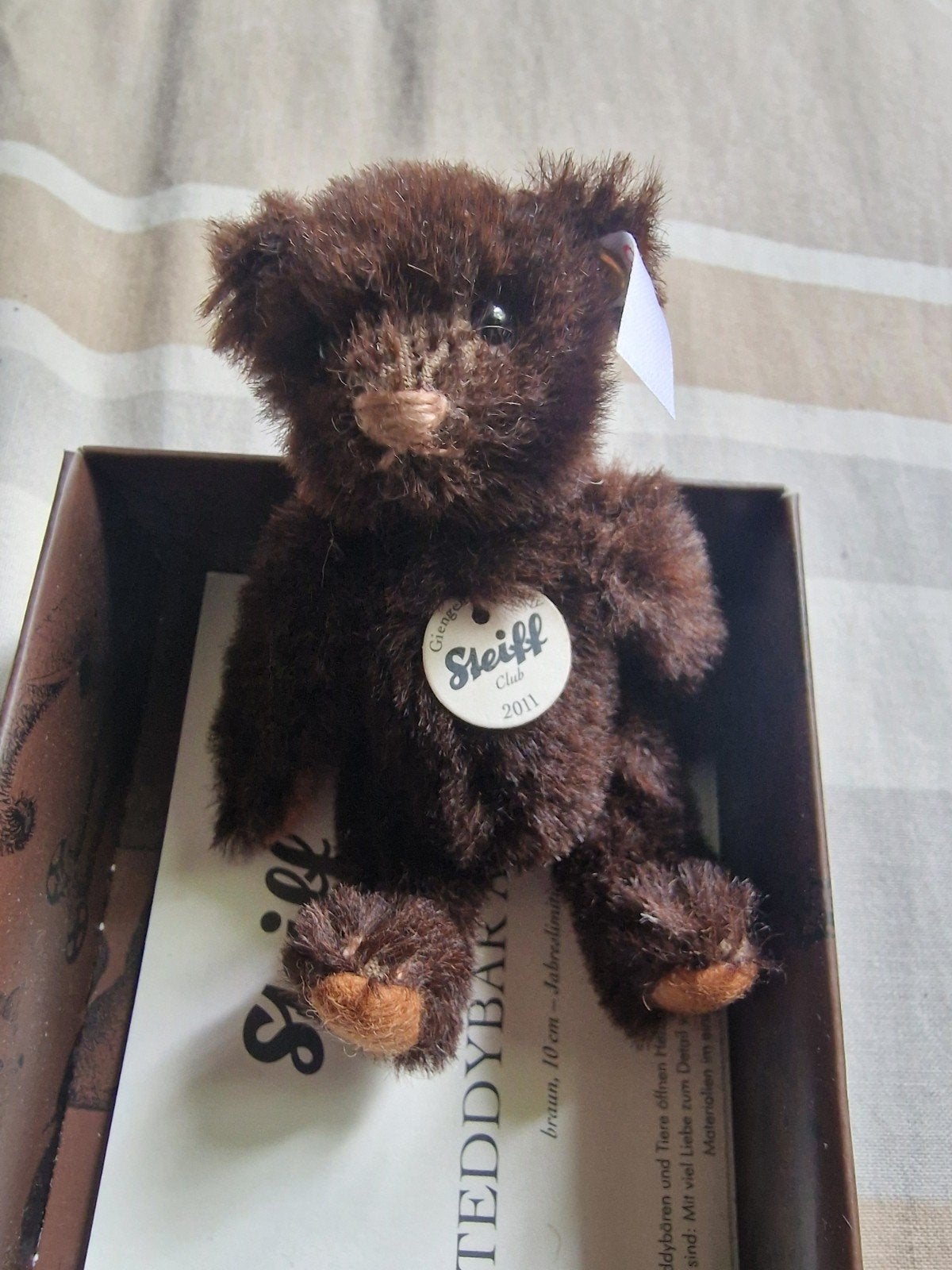 Steiff Club Jaargeschenk 2011 Teddybeer - Chocoladebruin, Ophalen of Verzenden