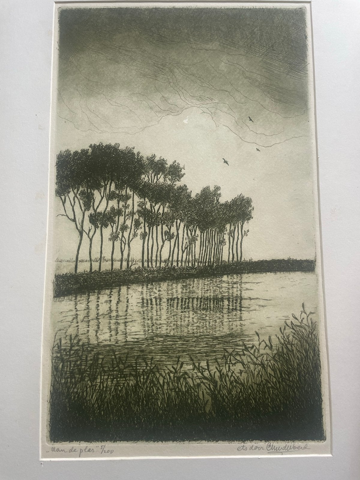 Ets van C. van der Woerd - Landschap met bomen en water, Ophalen of Verzenden, Gesigneerd, Landschap, 1950 - 1999