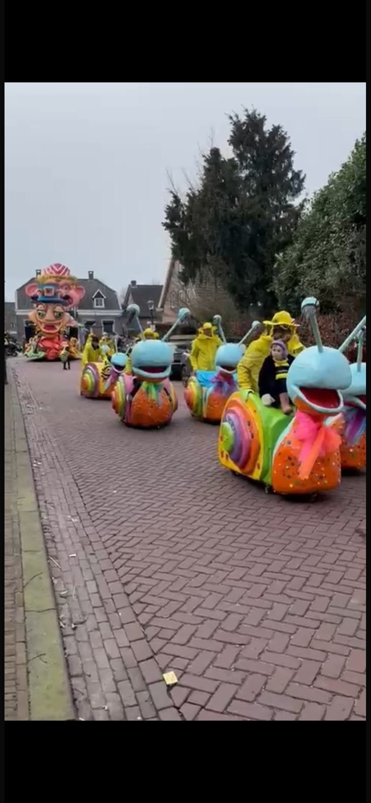 Carnavalsgroep: 7 Slakken met Bakfiets en Kleding, Gebruikt, Overige typen, Meerkleurig, Ophalen of Verzenden
