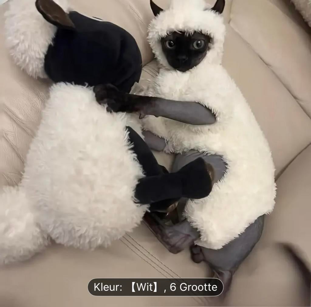 Verkleed pakje hond of kat, Ophalen of Verzenden, Zo goed als nieuw