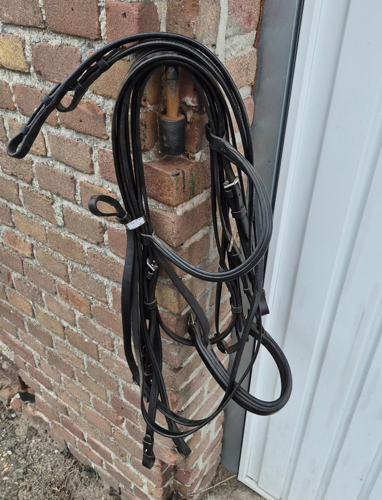 te koop nieuwe hoofdstel voor een paard, Ophalen, Hoofdstel, Overige disciplines, Nieuw