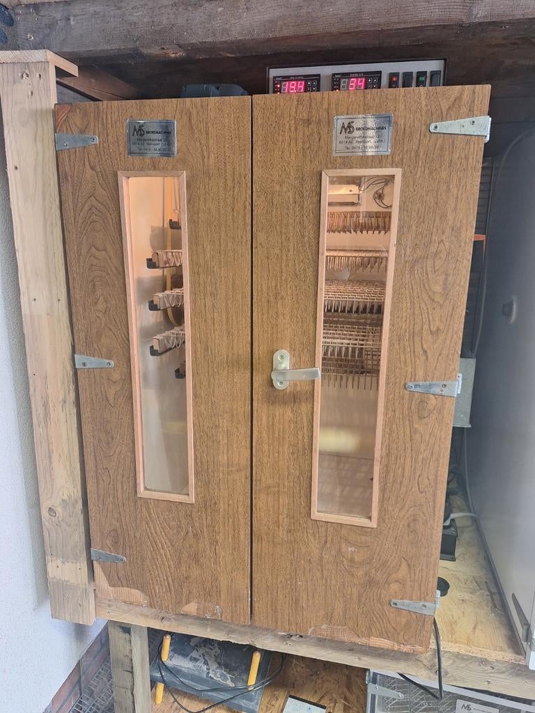 Ms broedmachine ms400, Geslacht onbekend, Kip