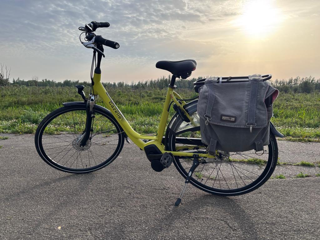 Opvallende Gazelle C7 Orange e-bike, volledig gereviseerd, Minder dan 10 versnellingen, Ophalen of Verzenden, Zo goed als nieuw