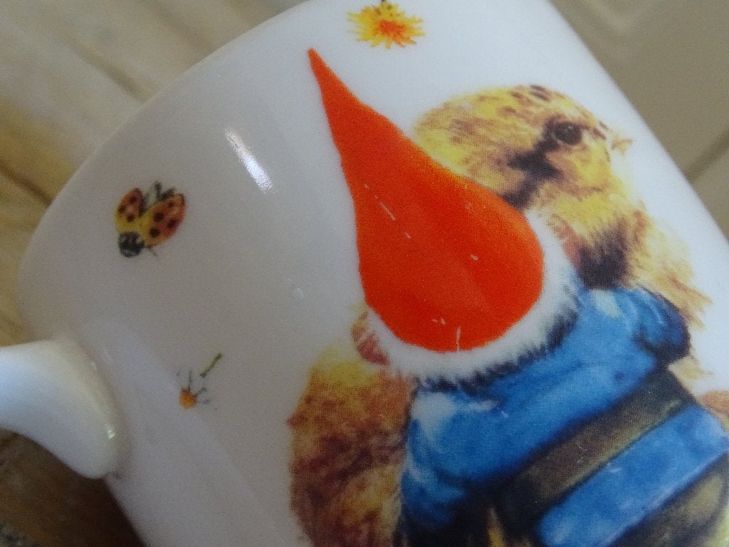 Servies Rien Poortvliet, KABOUTER, zo goed als nieuw, Huis en Inrichting, Keuken | Servies, Overige merken, Overige typen, Ophalen of Verzenden