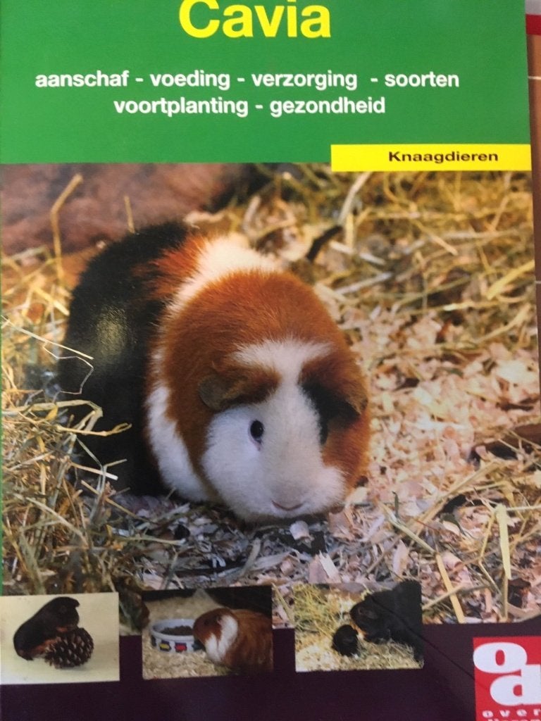 Cavia, Boeken, Dieren en Huisdieren, Ophalen of Verzenden, Zo goed als nieuw, Konijnen of Knaagdieren