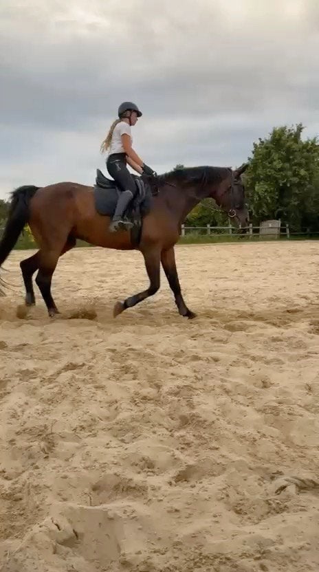 Bijrijder/verzorger gezocht in Overasselt