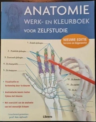 Anatomie - werk- en kleurboek voor zelfstudie + Plato, Boeken, Verzenden, Kurt H. Ph. D. Albertine, Zo goed als nieuw, Beta